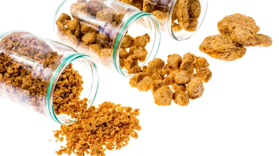 Close-up of hydrated texturized vegetable protein (TVP) with preserved fibrous structure after processing