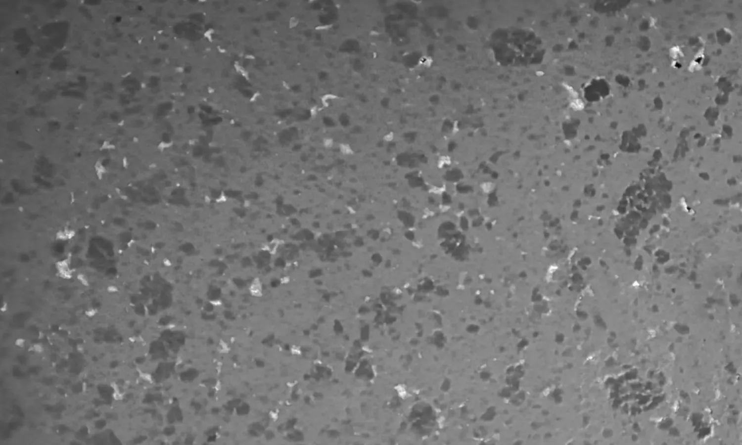 Dough mixed using low-shear tools in Sobatech continuous mixer with fewer lumps