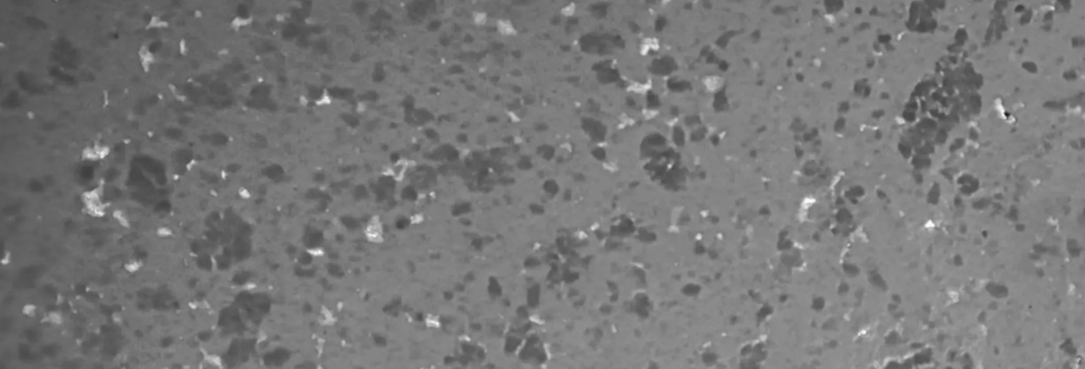 Dough result after being subjected to different mixing processes 